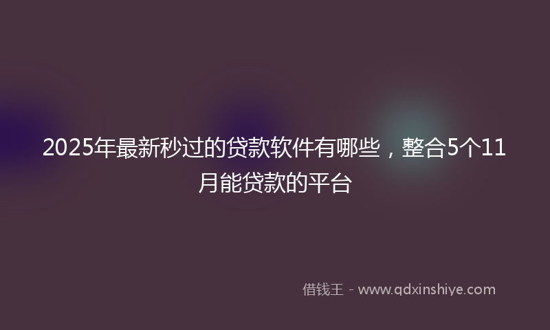 2025年最新秒过的贷款软件有哪些，整合5个11月能贷款的平台