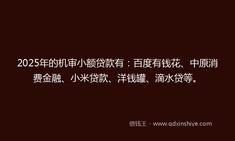 2025年的机审小额贷款有：百度有钱花、中原消费金融、小米贷款、洋钱罐、滴水贷等。