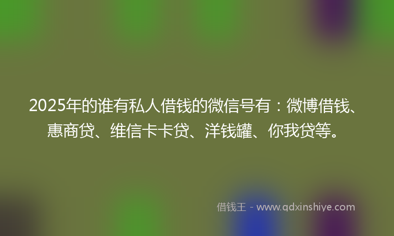 2025年的谁有私人借钱的微信号有：微博借钱、惠商贷、维信卡卡贷、洋钱罐、你我贷等。