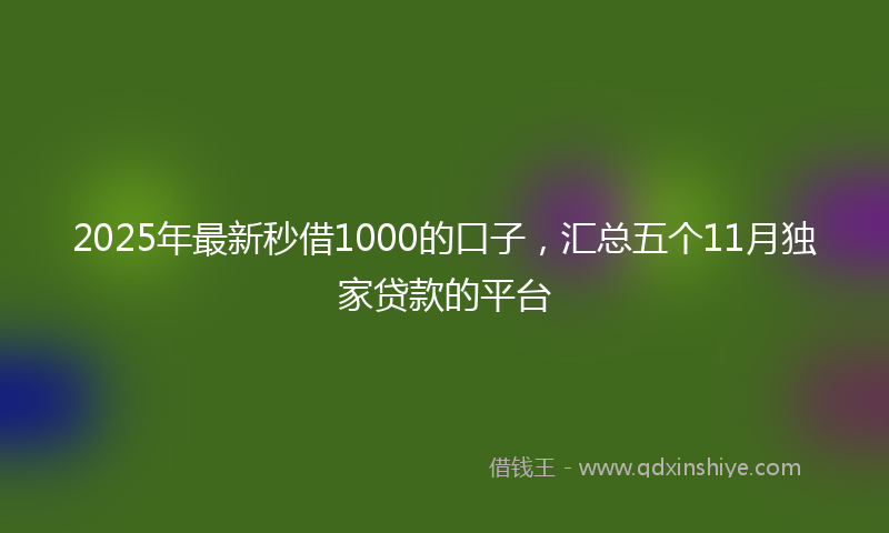 2025年最新秒借1000的口子，汇总五个11月独家贷款的平台