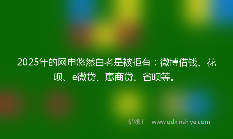 2025年的网申悠然白老是被拒有：微博借钱、花呗、e微贷、惠商贷、省呗等。