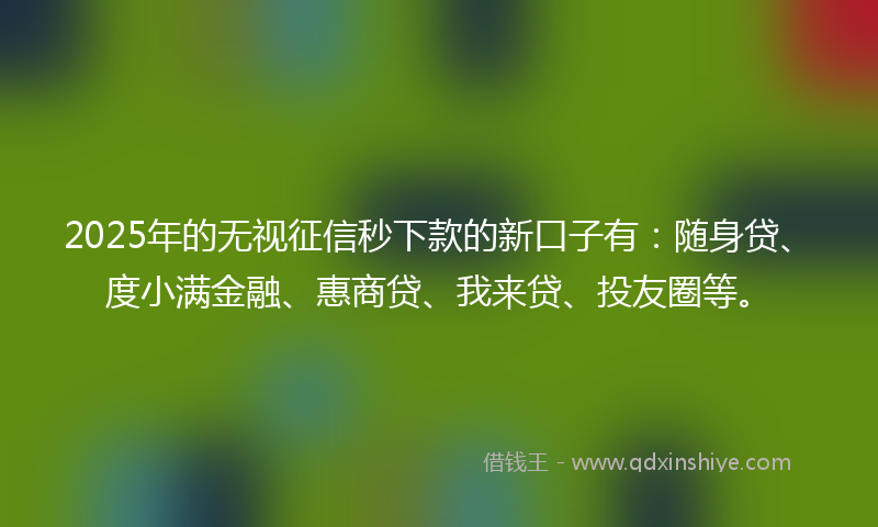 2025年的无视征信秒下款的新口子有：随身贷、度小满金融、惠商贷、我来贷、投友圈等。