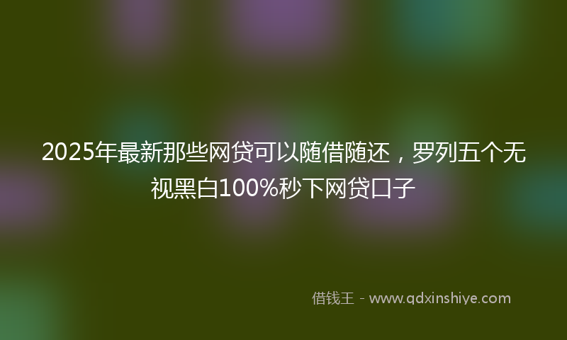 2025年最新那些网贷可以随借随还，罗列五个无视黑白100%秒下网贷口子