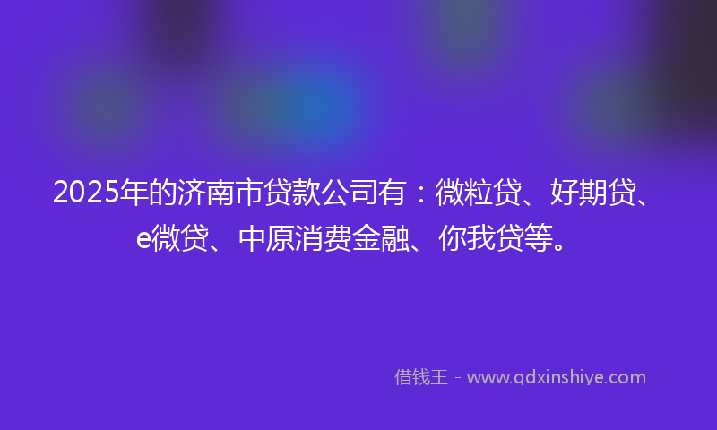 2025年的济南市贷款公司有：微粒贷、好期贷、e微贷、中原消费金融、你我贷等。