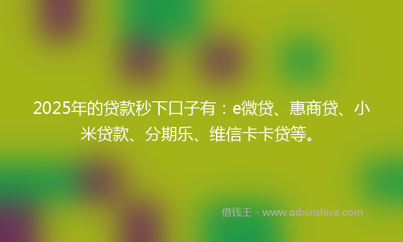 2025年的贷款秒下口子有：e微贷、惠商贷、小米贷款、分期乐、维信卡卡贷等。