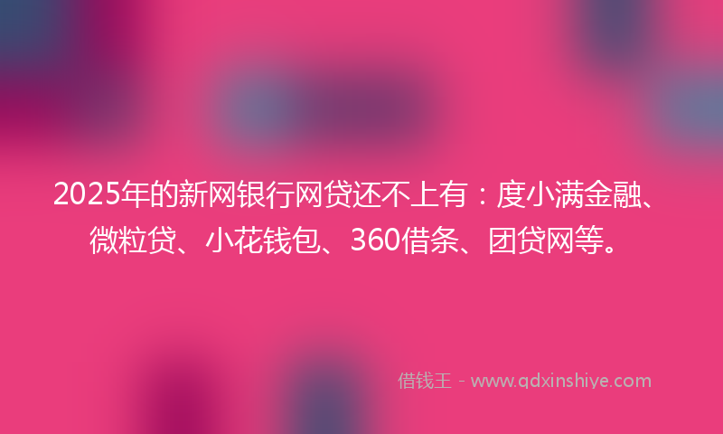 2025年的新网银行网贷还不上有：度小满金融、微粒贷、小花钱包、360借条、团贷网等。