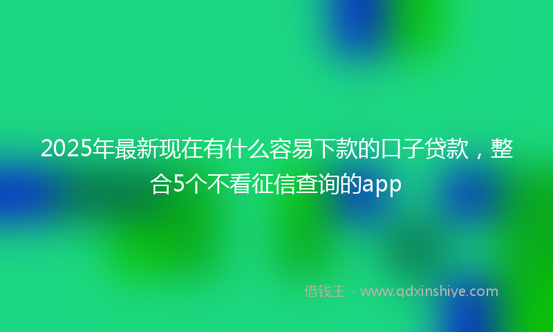 2025年最新现在有什么容易下款的口子贷款，整合5个不看征信查询的app