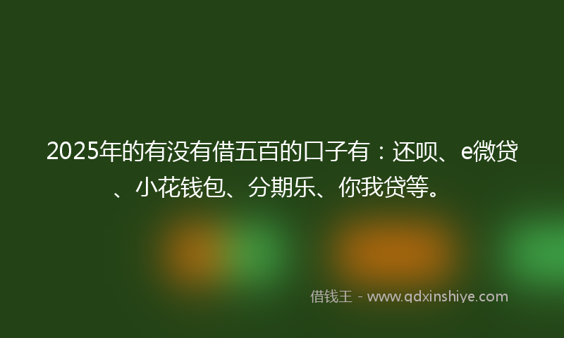 2025年的有没有借五百的口子有：还呗、e微贷、小花钱包、分期乐、你我贷等。