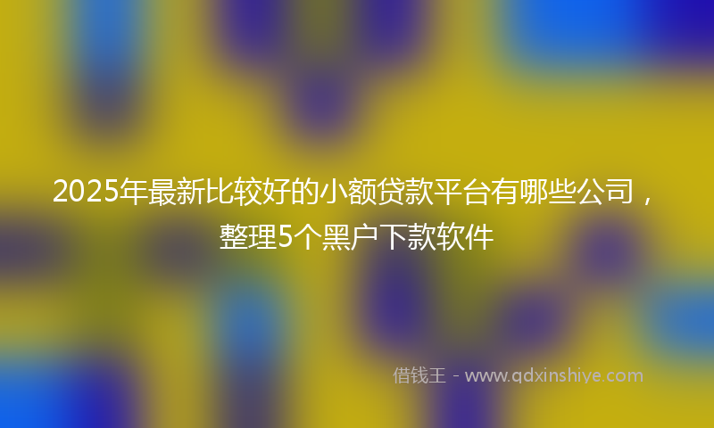 2025年最新比较好的小额贷款平台有哪些公司，整理5个黑户下款软件