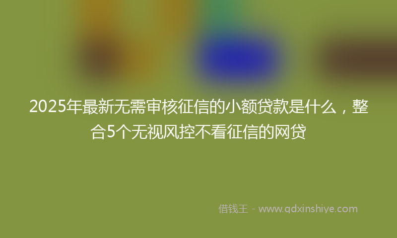 2025年最新无需审核征信的小额贷款是什么，整合5个无视风控不看征信的网贷