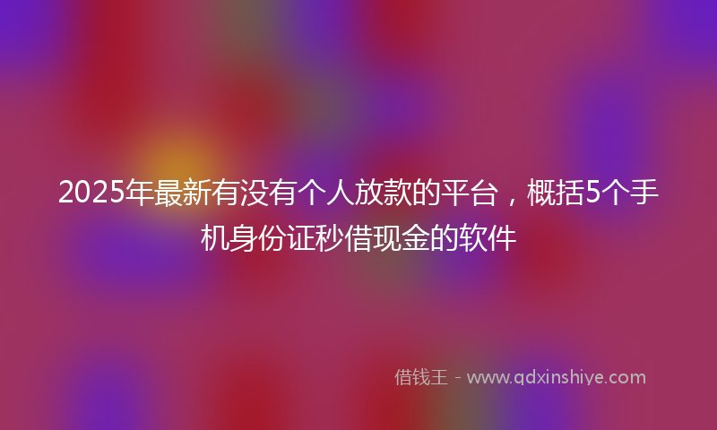 2025年最新有没有个人放款的平台，概括5个手机身份证秒借现金的软件