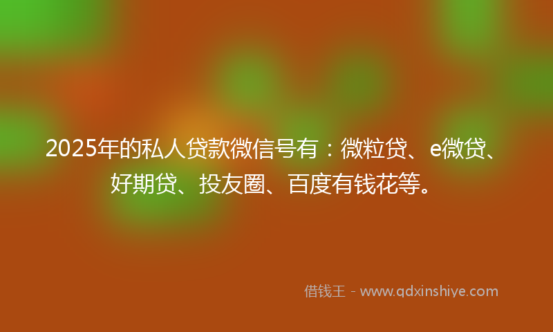 2025年的私人贷款微信号有：微粒贷、e微贷、好期贷、投友圈、百度有钱花等。