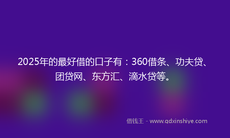 2025年的最好借的口子有：360借条、功夫贷、团贷网、东方汇、滴水贷等。