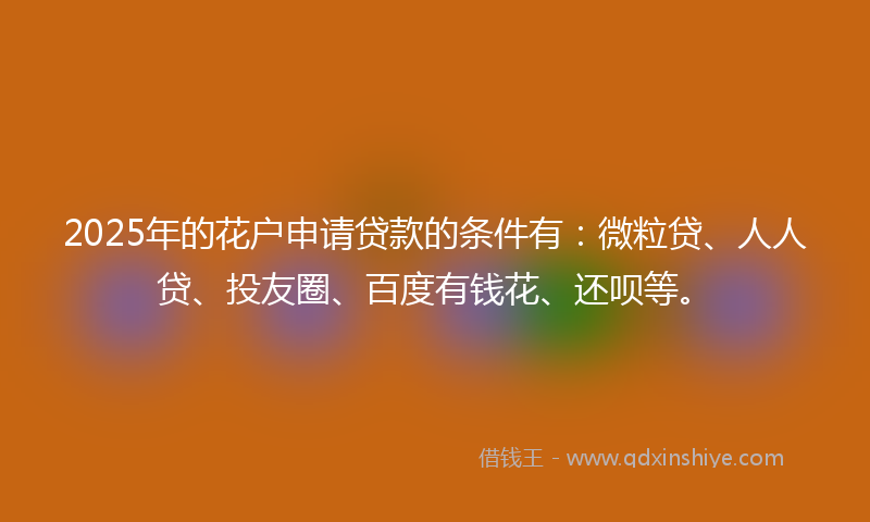 2025年的花户申请贷款的条件有：微粒贷、人人贷、投友圈、百度有钱花、还呗等。