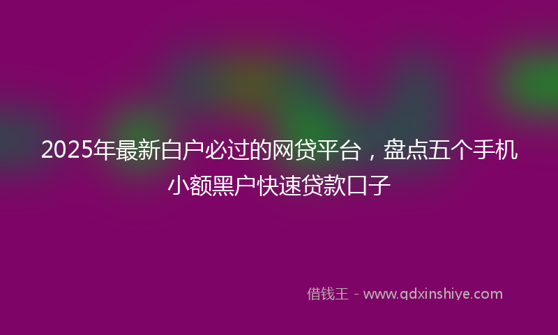2025年最新白户必过的网贷平台，盘点五个手机小额黑户快速贷款口子
