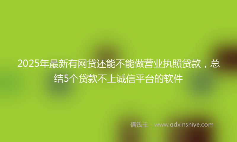 2025年最新有网贷还能不能做营业执照贷款，总结5个贷款不上诚信平台的软件