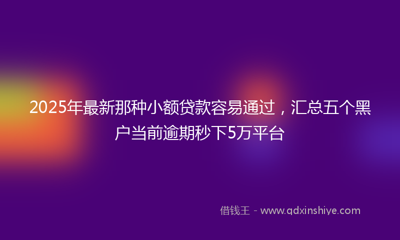 2025年最新那种小额贷款容易通过，汇总五个黑户当前逾期秒下5万平台
