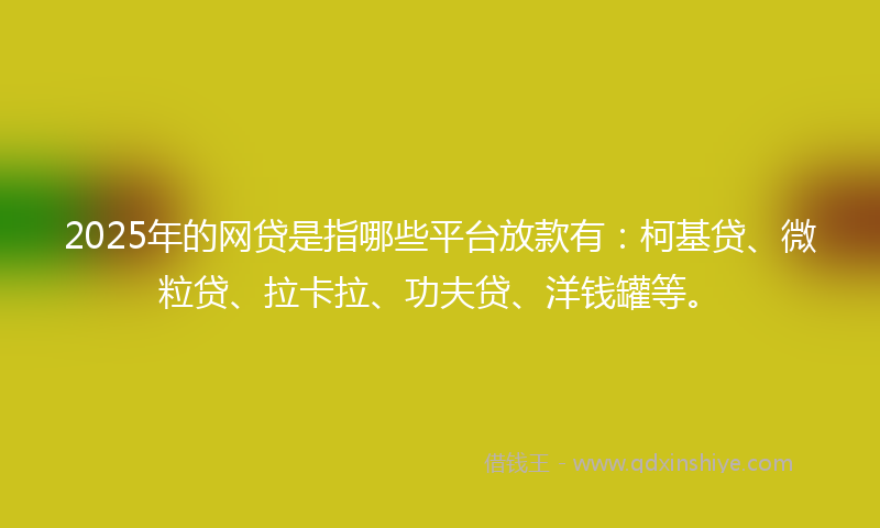 2025年的网贷是指哪些平台放款有：柯基贷、微粒贷、拉卡拉、功夫贷、洋钱罐等。