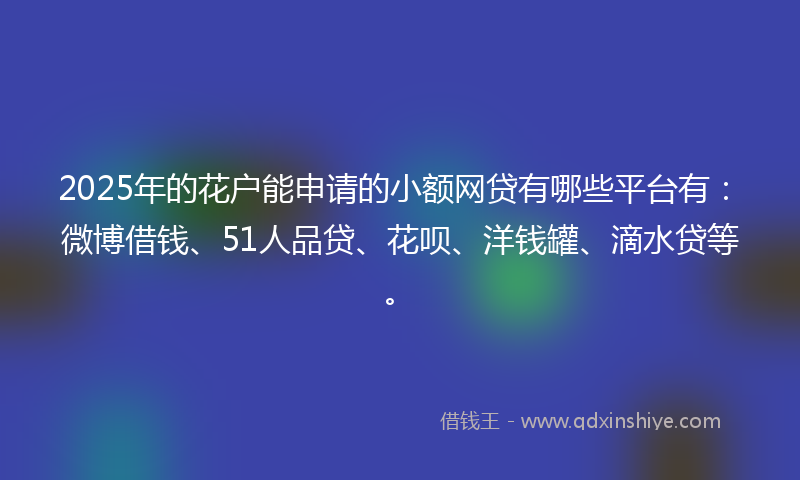 2025年的花户能申请的小额网贷有哪些平台有：微博借钱、51人品贷、花呗、洋钱罐、滴水贷等。