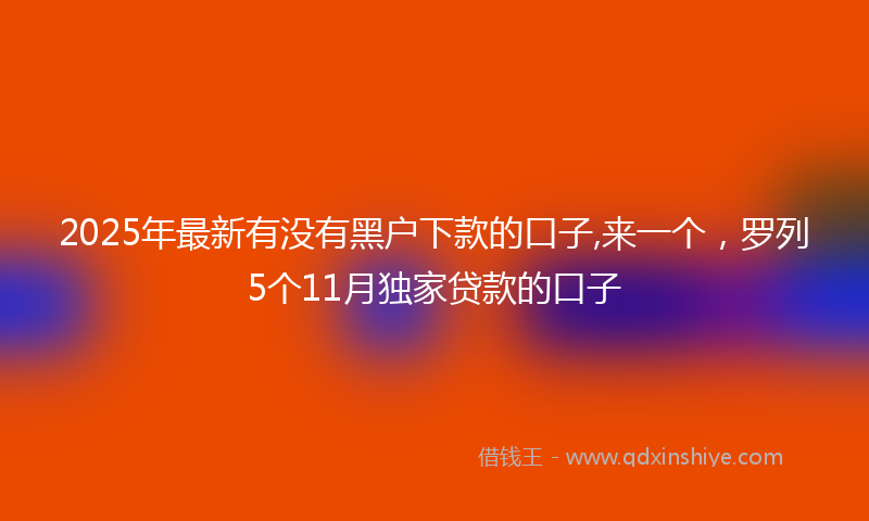 2025年最新有没有黑户下款的口子,来一个，罗列5个11月独家贷款的口子