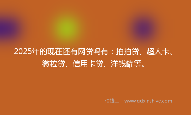 2025年的现在还有网贷吗有：拍拍贷、超人卡、微粒贷、信用卡贷、洋钱罐等。