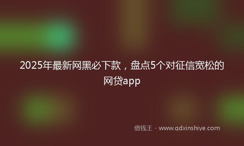 2025年最新网黑必下款，盘点5个对征信宽松的网贷app