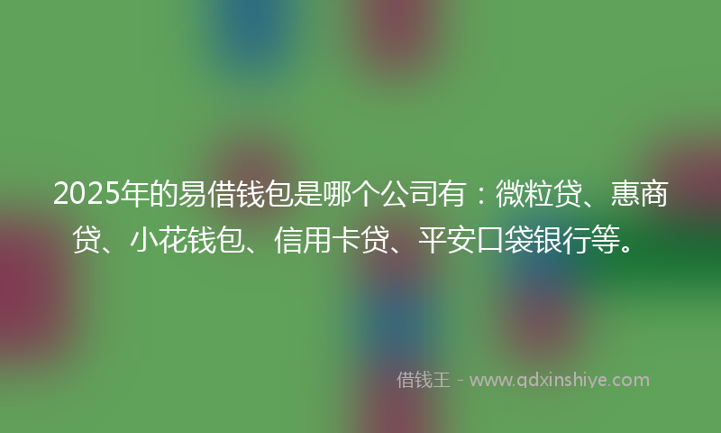 2025年的易借钱包是哪个公司有：微粒贷、惠商贷、小花钱包、信用卡贷、平安口袋银行等。