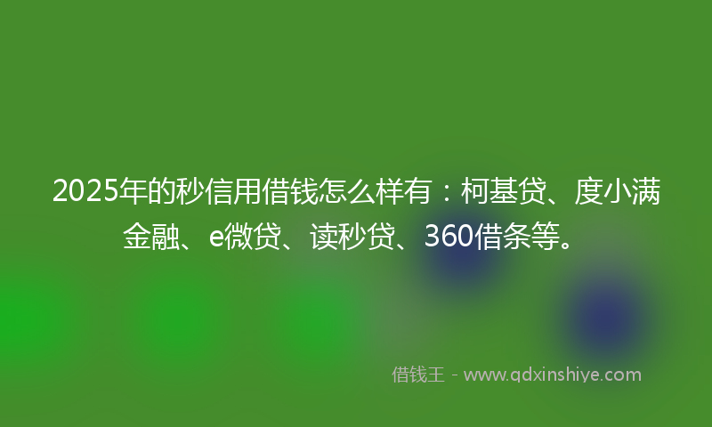 2025年的秒信用借钱怎么样有：柯基贷、度小满金融、e微贷、读秒贷、360借条等。