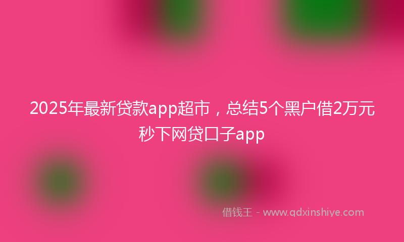 2025年最新贷款app超市，总结5个黑户借2万元秒下网贷口子app