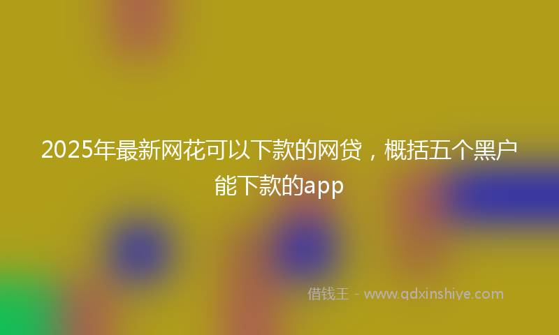 2025年最新网花可以下款的网贷，概括五个黑户能下款的app