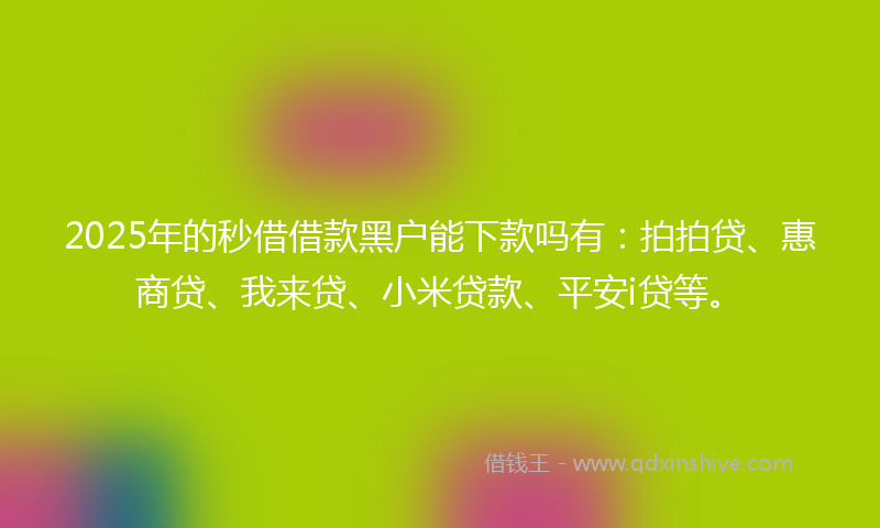 2025年的秒借借款黑户能下款吗有：拍拍贷、惠商贷、我来贷、小米贷款、平安i贷等。