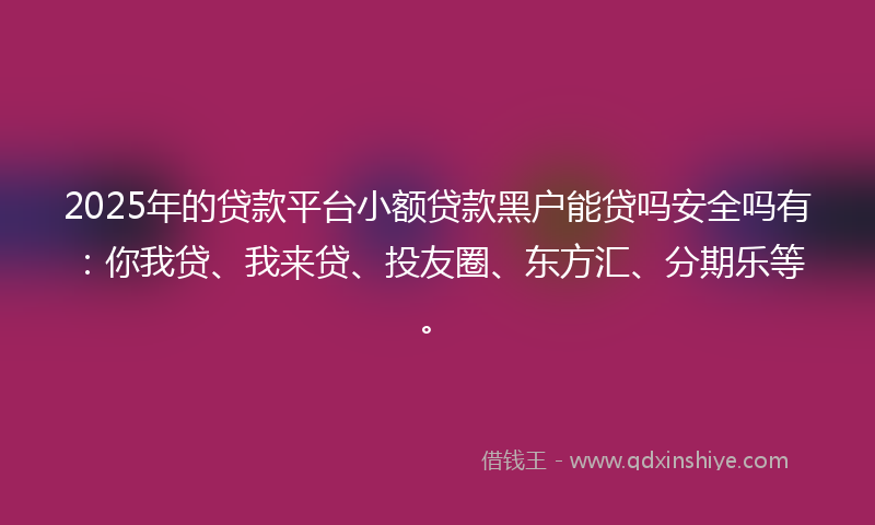 2025年的贷款平台小额贷款黑户能贷吗安全吗有：你我贷、我来贷、投友圈、东方汇、分期乐等。