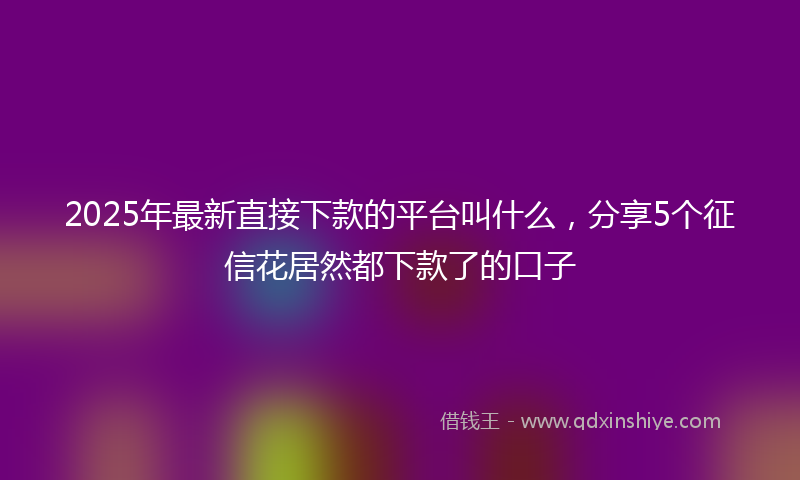 2025年最新直接下款的平台叫什么，分享5个征信花居然都下款了的口子