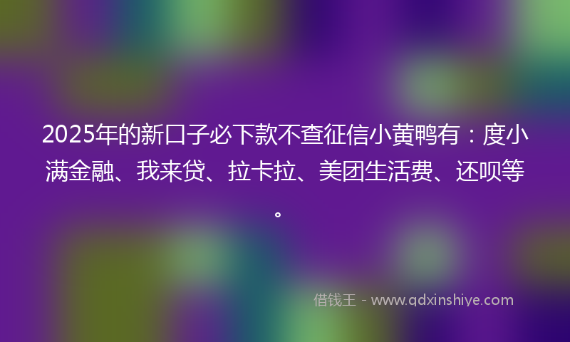 2025年的新口子必下款不查征信小黄鸭有：度小满金融、我来贷、拉卡拉、美团生活费、还呗等。
