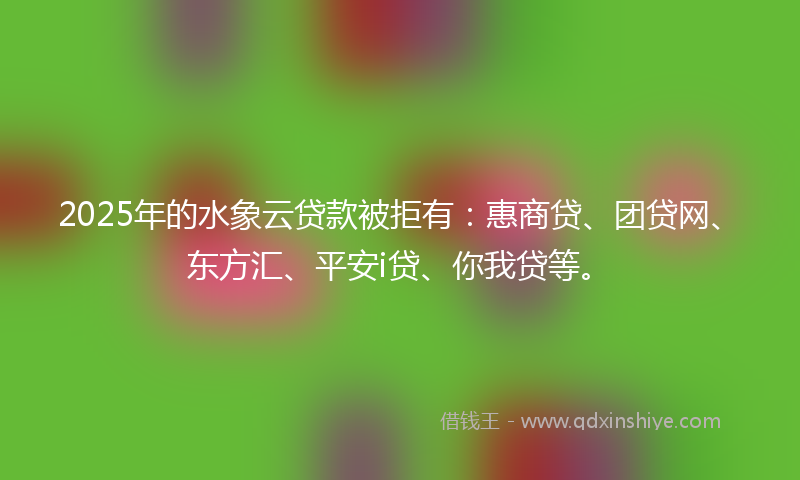 2025年的水象云贷款被拒有：惠商贷、团贷网、东方汇、平安i贷、你我贷等。