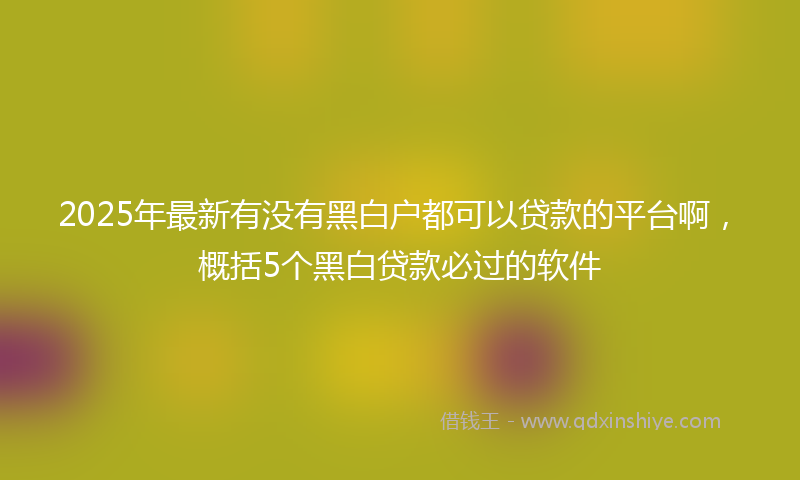 2025年最新有没有黑白户都可以贷款的平台啊，概括5个黑白贷款必过的软件