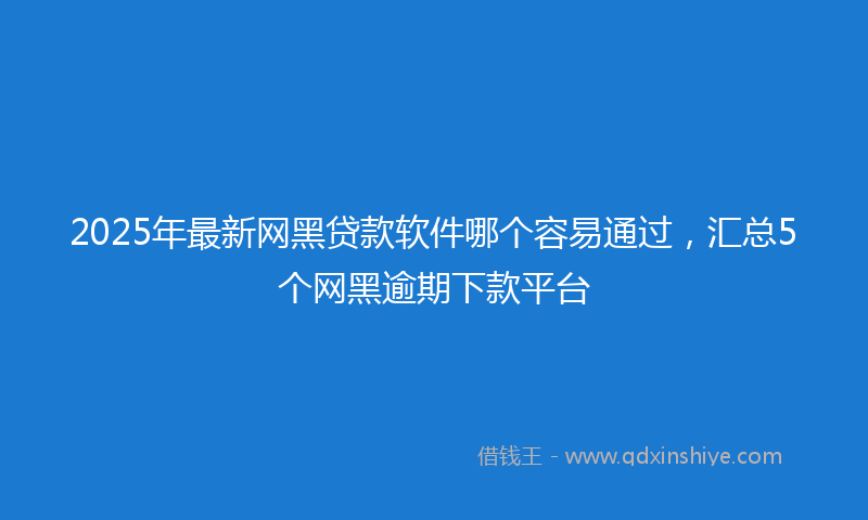 2025年最新网黑贷款软件哪个容易通过，汇总5个网黑逾期下款平台