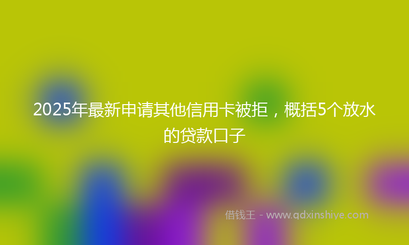2025年最新申请其他信用卡被拒，概括5个放水的贷款口子