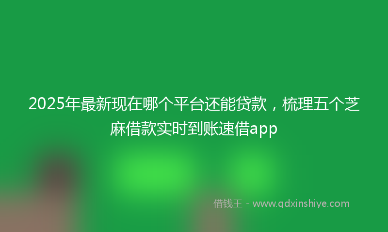 2025年最新现在哪个平台还能贷款，梳理五个芝麻借款实时到账速借app