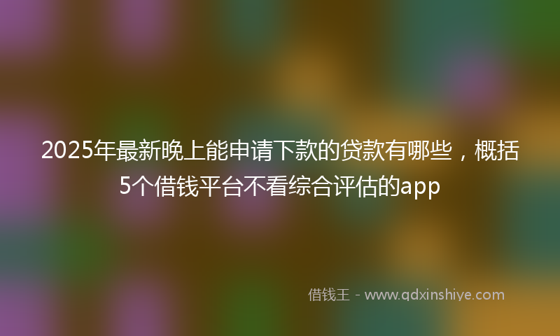 2025年最新晚上能申请下款的贷款有哪些，概括5个借钱平台不看综合评估的app