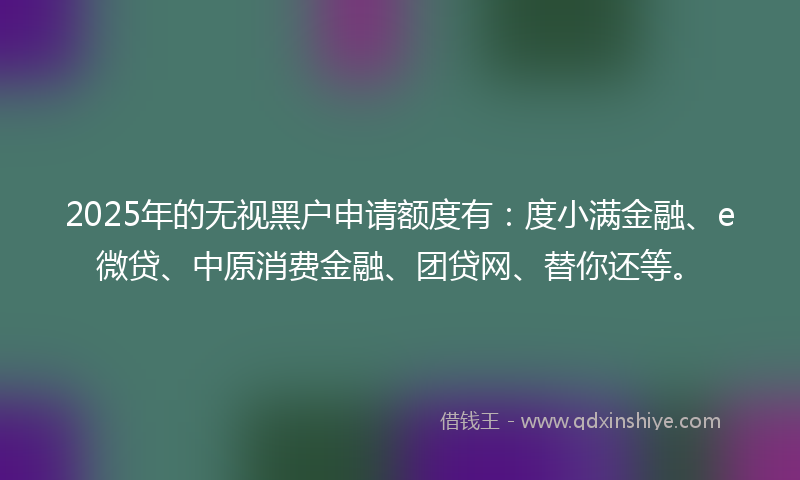 2025年的无视黑户申请额度有：度小满金融、e微贷、中原消费金融、团贷网、替你还等。