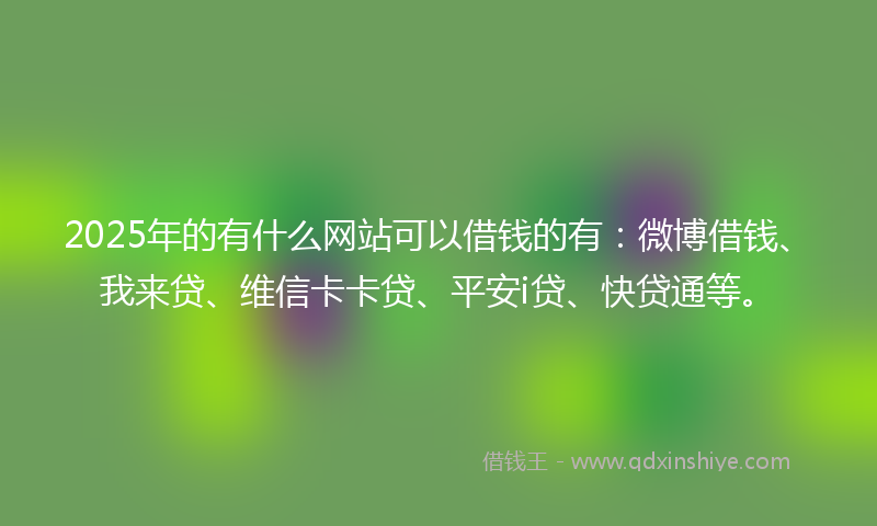 2025年的有什么网站可以借钱的有：微博借钱、我来贷、维信卡卡贷、平安i贷、快贷通等。