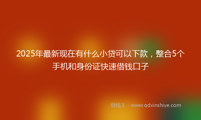 2025年最新现在有什么小贷可以下款，整合5个手机和身份证快速借钱口子
