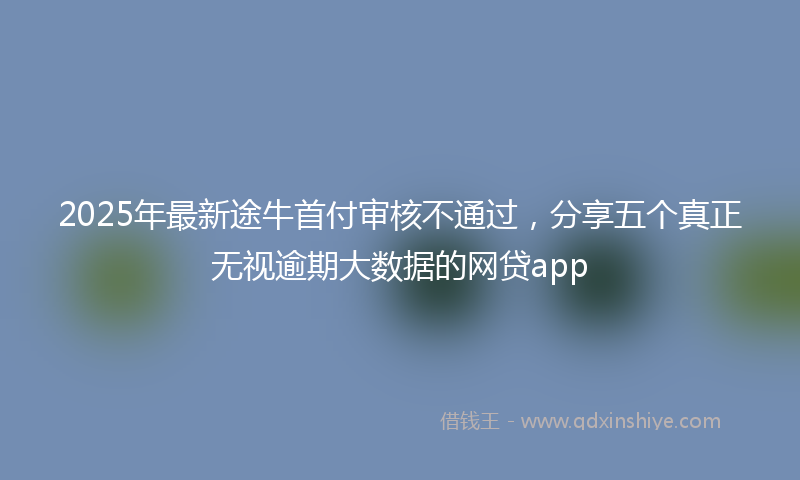 2025年最新途牛首付审核不通过，分享五个真正无视逾期大数据的网贷app