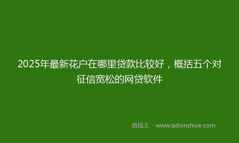 2025年最新花户在哪里贷款比较好，概括五个对征信宽松的网贷软件