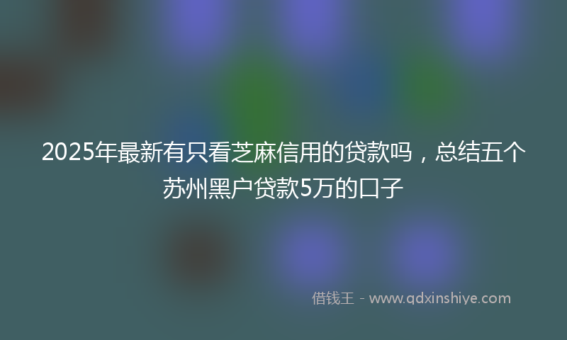2025年最新有只看芝麻信用的贷款吗，总结五个苏州黑户贷款5万的口子