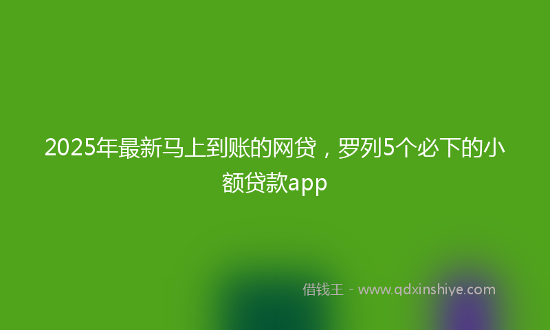 2025年最新马上到账的网贷，罗列5个必下的小额贷款app