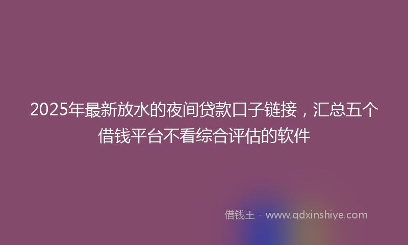 2025年最新放水的夜间贷款口子链接，汇总五个借钱平台不看综合评估的软件