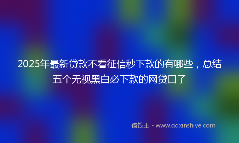 2025年最新贷款不看征信秒下款的有哪些，总结五个无视黑白必下款的网贷口子