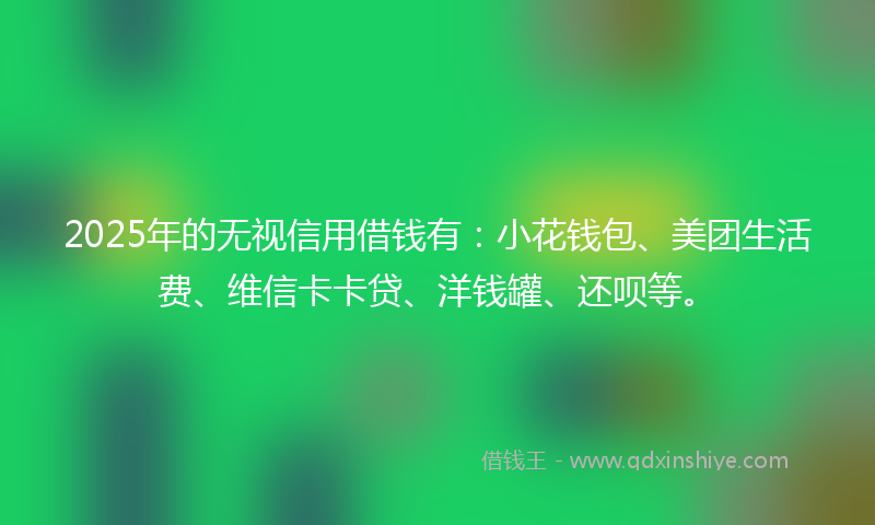 2025年的无视信用借钱有：小花钱包、美团生活费、维信卡卡贷、洋钱罐、还呗等。